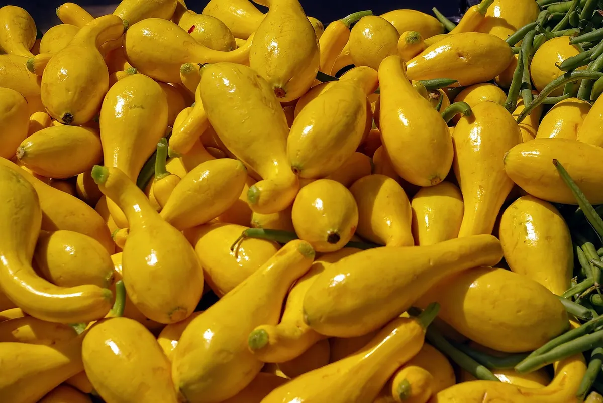 Suffolk Quarter Farmers' Market: What to Buy in Each Month